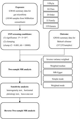 Causal relationship between gut microbiota and Behçet’s disease: a Mendelian randomization study